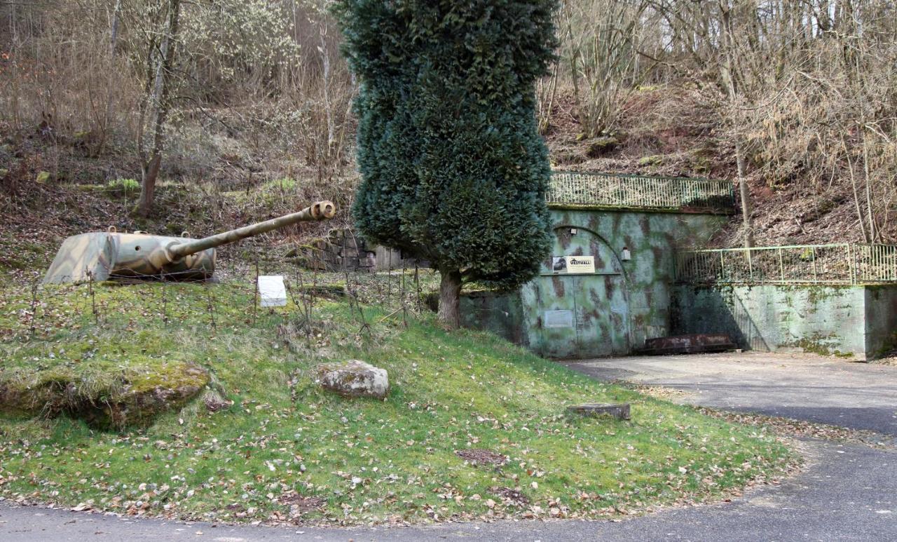 Fewo Pfaelzer Felsenlandschaft Pirmasens Buitenkant foto