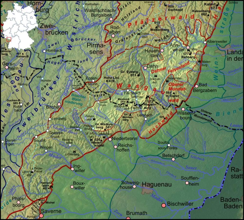 Fewo Pfaelzer Felsenlandschaft Pirmasens Buitenkant foto